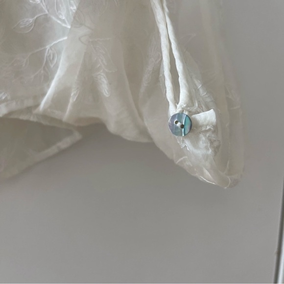 Aritzia Wilfred Sheer Blouse - Picture 3 of 6